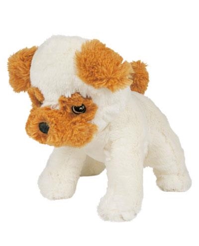 KAI. MASCOTA | 8429962011435 | EQUIPO EDITORIAL