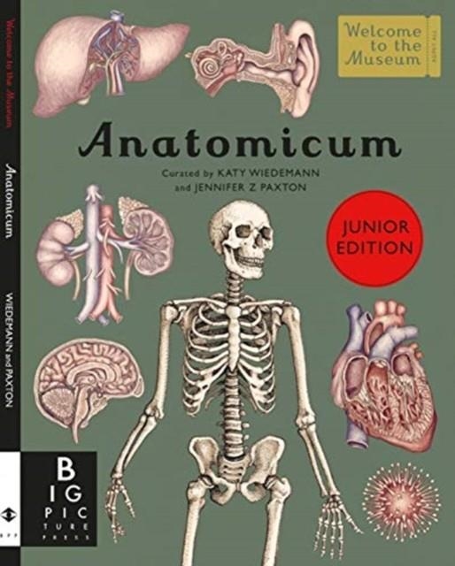 ANATOMICUM JUNIOR | 9781787416543 | JENNIFER Z PAXTON