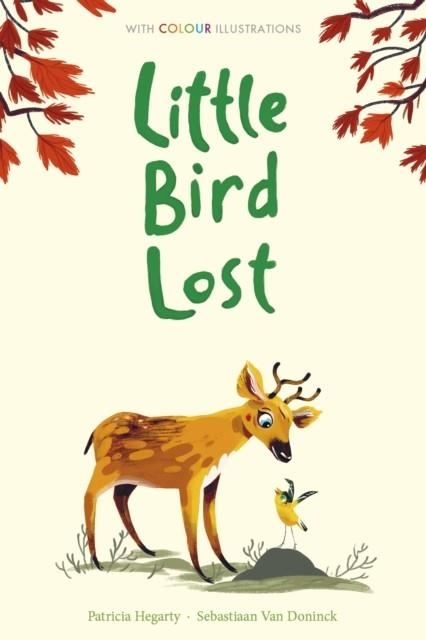 LITTLE BIRD LOST | 9781788951173 | PATRICIA HEGARTY 