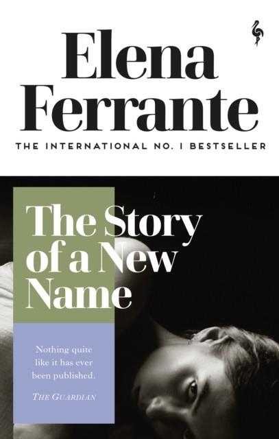 THE STORY OF A NEW NAME | 9781787702233 | ELENA FERRANTE 
