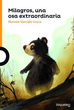 MILAGROS, UNA OSA EXTRAORDINARIA - 10AÑOS | 9788491223566 | HERNÁN GARRIDO-LECCA