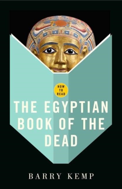 HOW TO READ THE EGYPTIAN BOOK OF THE DEAD | 9781862079137 | SIMON CRITCHLEY