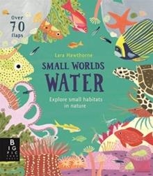 SMALL WORLDS: WATER | 9781787415621 | LILY MURRAY