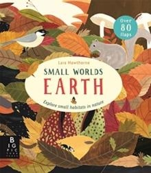 SMALL WORLDS: EARTH | 9781787415638 | LILY MURRAY