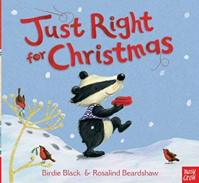 JUST RIGHT FOR CHRISTMAS | 9780857638557 | BIRDIE BLACK