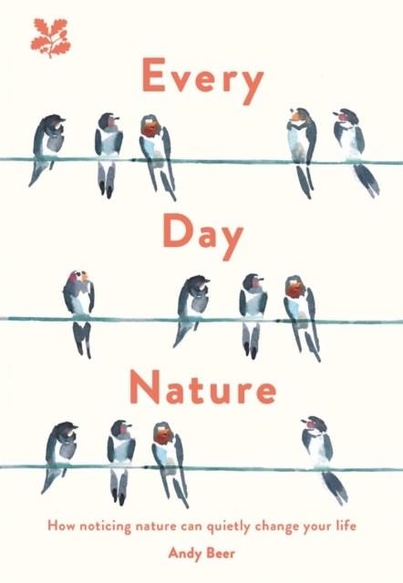 EVERY DAY NATURE | 9781911657095 | ANDY BEER