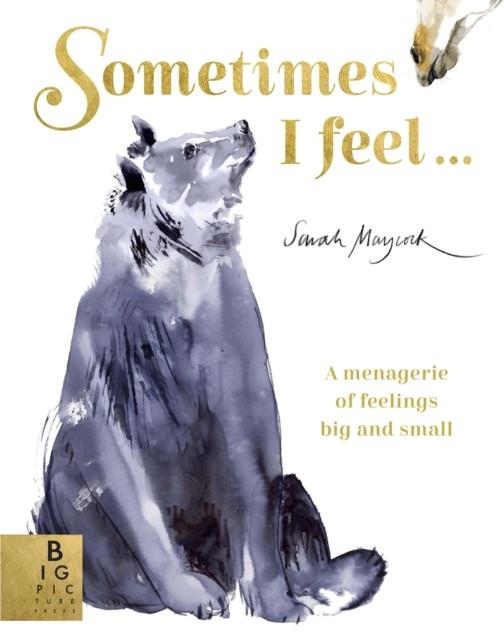 SOMETIMES I FEEL... | 9781787417267 | SARAH MAYCOCK