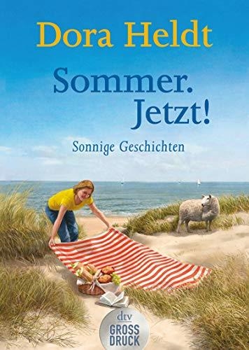 SOMMER JETZT | 9783423254243 | HELDT, DORA