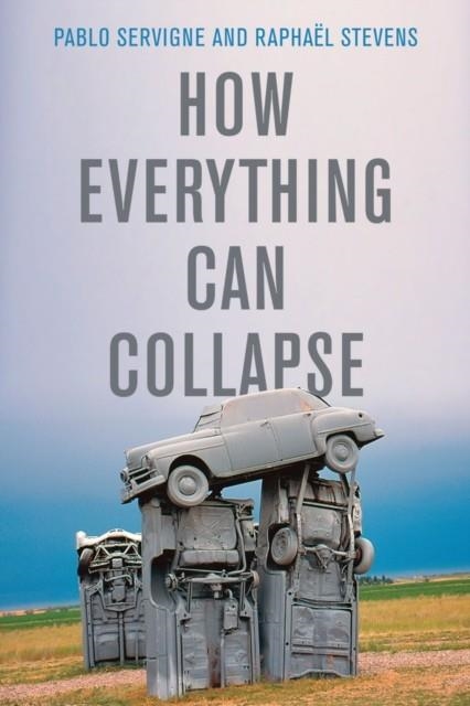 HOW EVERYTHING CAN COLLAPSE : A MANUAL FOR OUR TIMES | 9781509541393
