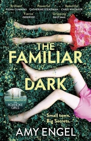 THE FAMILIAR DARK | 9781529368116 | AMY ENGEL