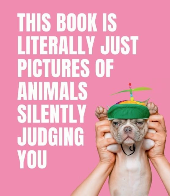 THIS BOOK IS LITERALLY JUST PICTURES OF BABY ANIMA | 9781922417046 | SMITH STREET BOOKS