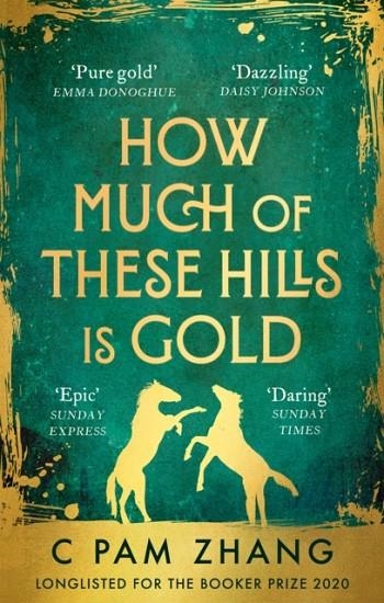 HOW MUCH OF THESE HILLS IS GOLD | 9780349011455 | C PAM ZHANG