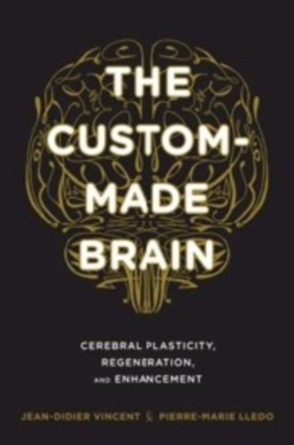 THE CUSTOM-MADE BRAIN : CEREBRAL PLASTICITY, REGENERATION, AND ENHANCEMENT | 9780231164504 |  JEAN-DIDIER VINCENT 