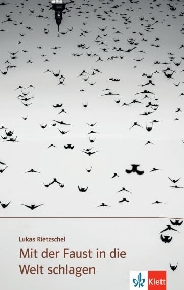 MIT DER FAUST IN DIE WELT SCHLAGEN -B2-C2 | 9783126669245