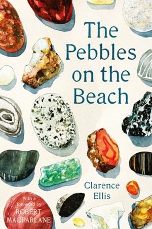 THE PEBBLES ON THE BEACH | 9780571347933