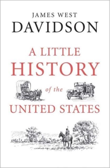 A LITTLE HISTORY OF THE UNITED STATES | 9780300223484 | JAMES WEST DAVIDSON