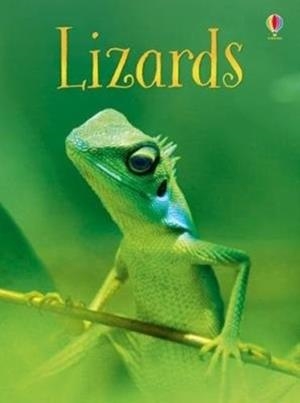 LIZARDS | 9781474950459 | JAMES MACLAINE