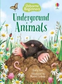 UNDER THE GROUND | 9781474979344 | EMILY BONE