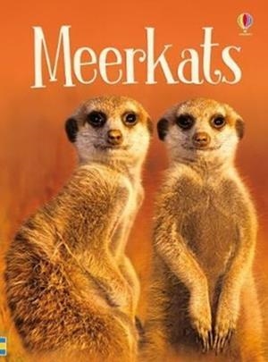 MEERKATS | 9781474941013 | JAMES MACLAINE