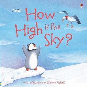 HOW HIGH IS THE SKY? | 9781409583202