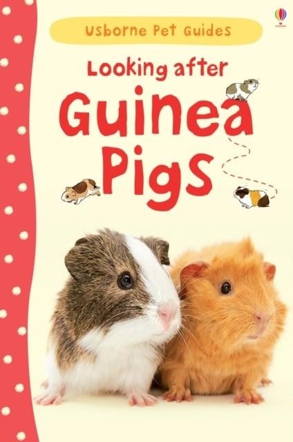 LOOKING AFTER GUINEA PIGS | 9781409561880 | LAURA HOWELL