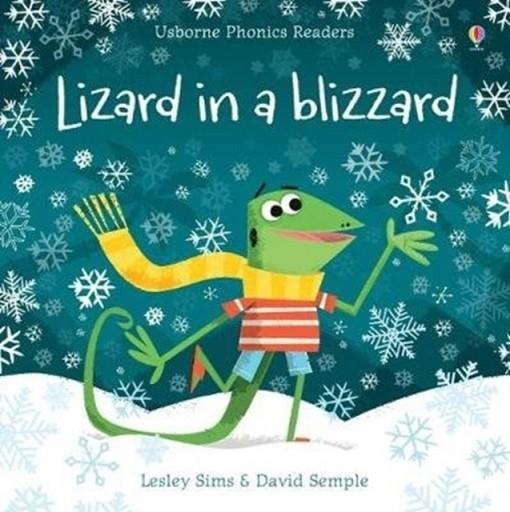 LIZARD IN A BLIZZARD | 9781474946582 | LESLEY SIMS