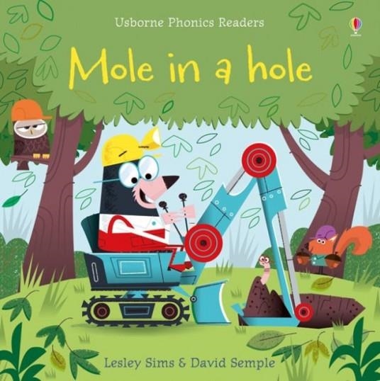 MOLE IN A HOLE | 9781409580423 | LESLEY SIMS