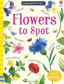 FLOWERS TO SPOT | 9781474952163 | SAM SMITH