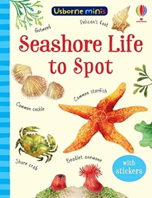 SEASHORE LIFE TO SPOT | 9781474974981 | SAM SMITH