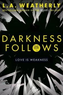 DARKNESS FOLLOWS | 9781409572039 | L A WEATHERLY