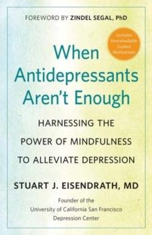 ANTIDEPRESSANTS AREN'T ENOUGH | 9781608685974 | STUART J. EISENDRATH