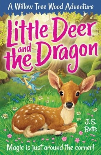 WILLOW TREE WOOD BOOK 2 - LITTLE DEER AND THE DRAGON | 9781789583199 | J S BETTS