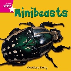 RIGBY STAR INDEPENDENT FOUNDATION PINK LEVEL: MINIBEASTS | 9780433029410