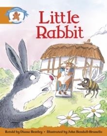 STAGE 4 BLUE BOOK BAND:LITTLE RABBIT | 9780435140502