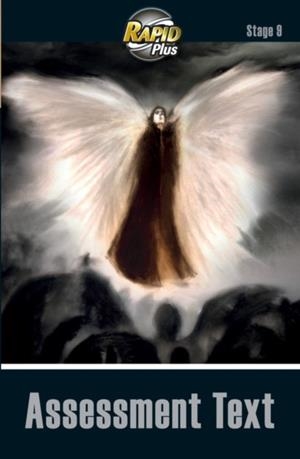 RAPID PLUS ASSESSMENT BOOK STAGE 9 | 9780435071653