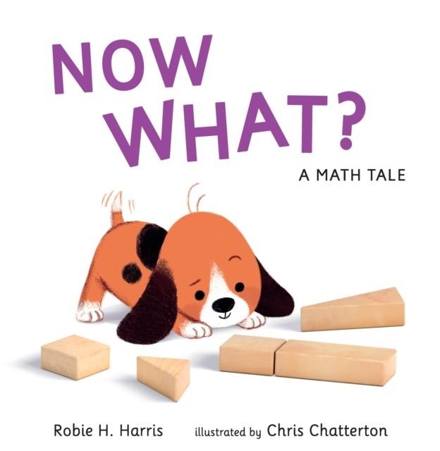 NOW WHAT? A MATH TALE | 9780763678289 | ROBIE H. HARRIS