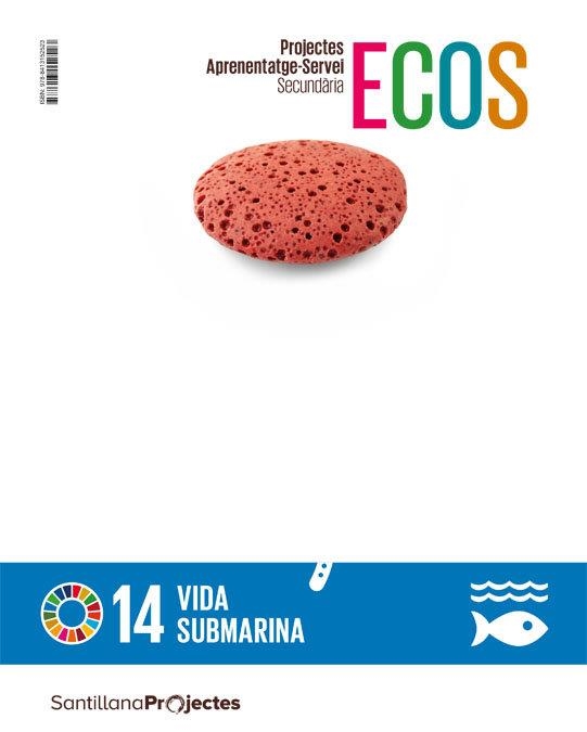 QUAD ACCION VIDA SUBMARINA ECOS CAT ED21 | 9788413152523