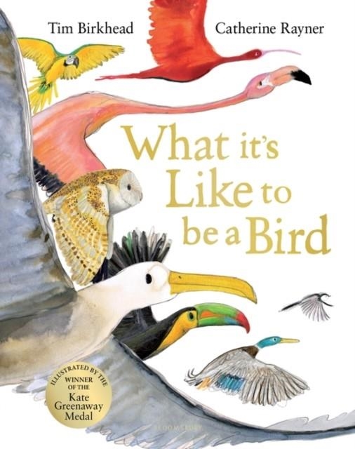WHAT IT'S LIKE TO BE A BIRD? | 9781526604125 | BIRKHEAD AND RAYNER