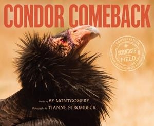 CONDOR COMEBACK | 9780544816534 | MONTGOMERY