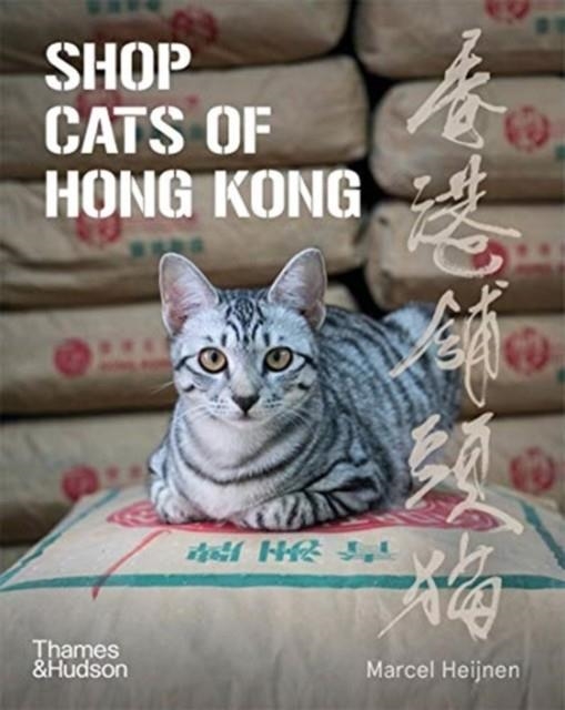 SHOP CATS OF HONG KONG | 9780500296233 | MARCEL HEIJNEN, CATHARINE NICOL