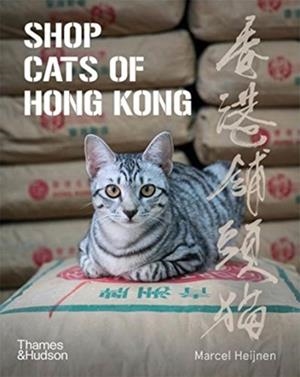 SHOP CATS OF HONG KONG | 9780500296233 | MARCEL HEIJNEN, CATHARINE NICOL