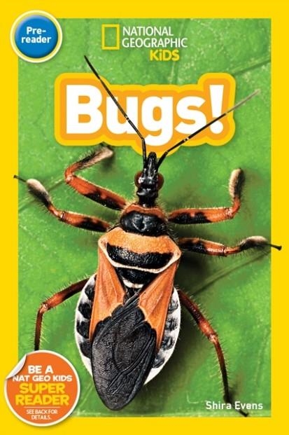 NATIONAL GEOGRAPHIC KIDS LEVEL PRE-READER: BUGS! | 9781426330308 | SHIRA EVANS