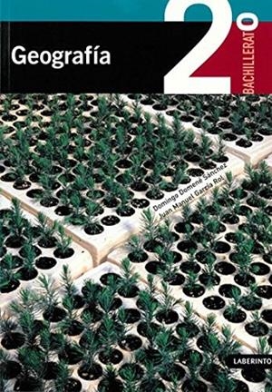 GEOGRAFÍA LOE LABERINTO | 9788484833994