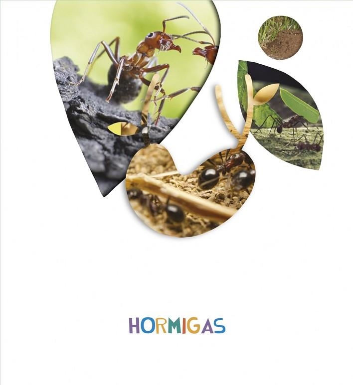 HORMIGAS  5 AÑOS  ALUMNOS  2018 | 9788414011478