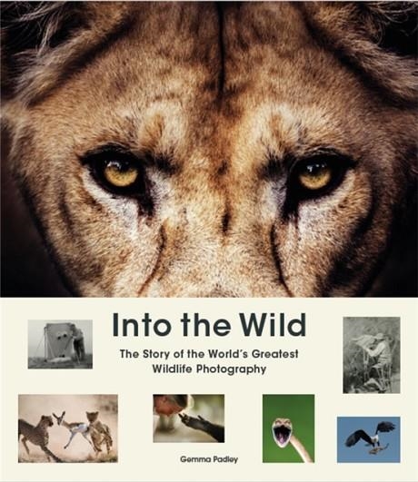 INTO THE WILD | 9781913947484 | GEMMA PADLEY