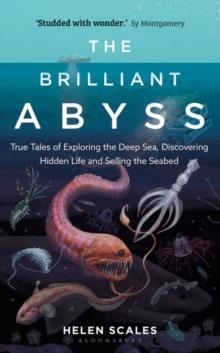 THE BRILLIANT ABYSS | 9781472966865 | HELEN SCALES