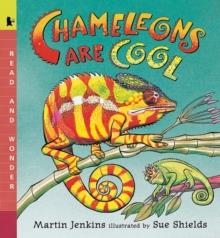 CHAMELEONS ARE COOL | 9780763611392 | MARTIN JENKINS