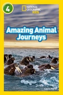 AMAZING ANIMAL JOURNEYS : LEVEL 4 | 9780008266868 | LAURA MARSH