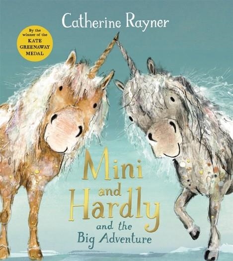 MINI AND HARDLY AND THE BIG ADVENTURE | 9781509804221 | CATHERINE RAYNER