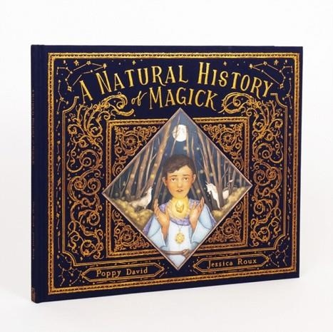 A NATURAL HISTORY OF MAGICK | 9780711260252 | POPPY DAVID